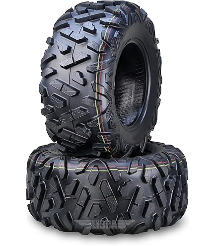 Amazon.com: Maxxis Bighorn 2.0 Tire - 25/10R12 0R SL